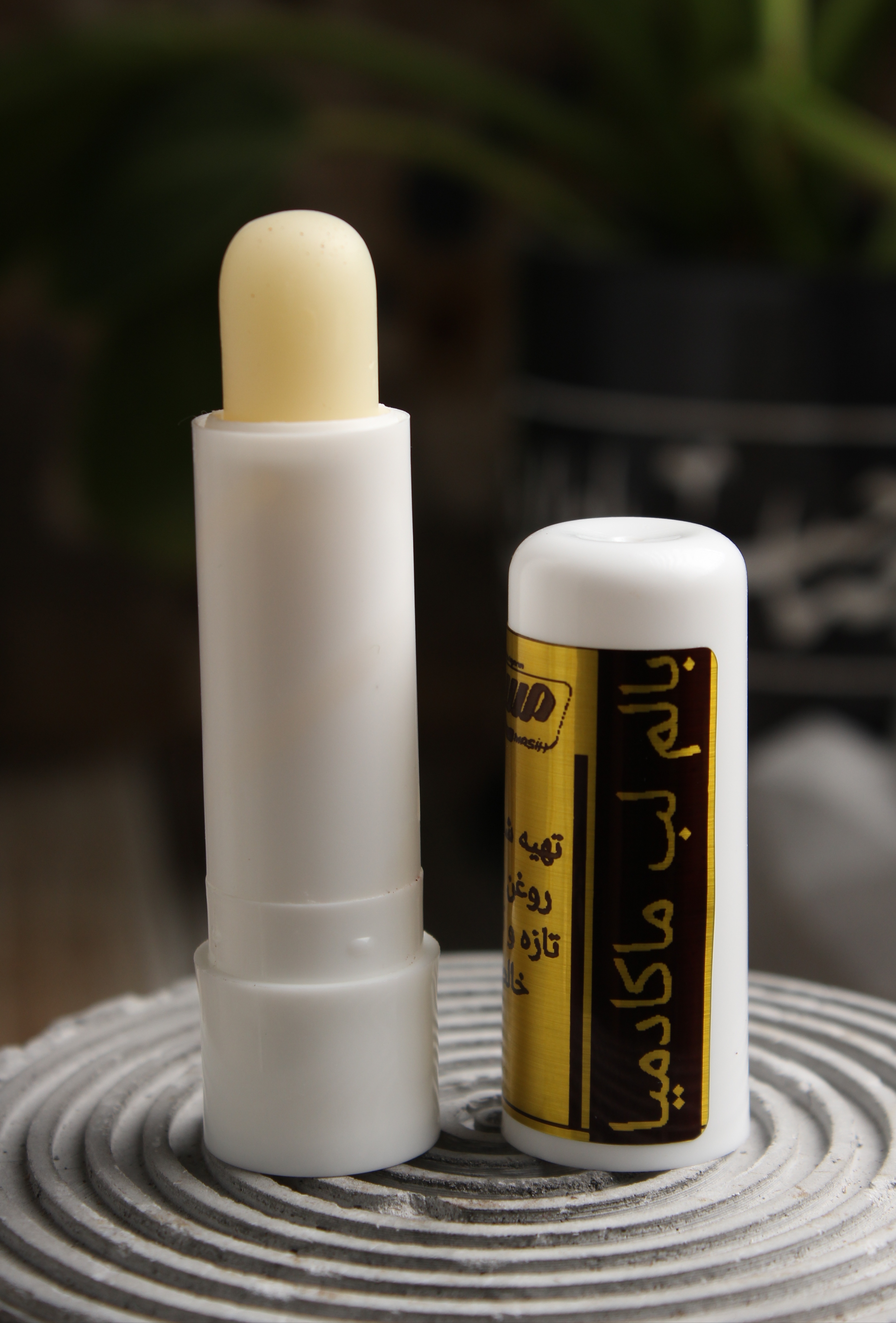 بالم لب ماکادمیا